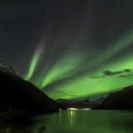 Koselig Leilighet I Narvik Sentrum 5 Soveplasser Gratis Parkering Og Gratis Internett エクステリア 写真