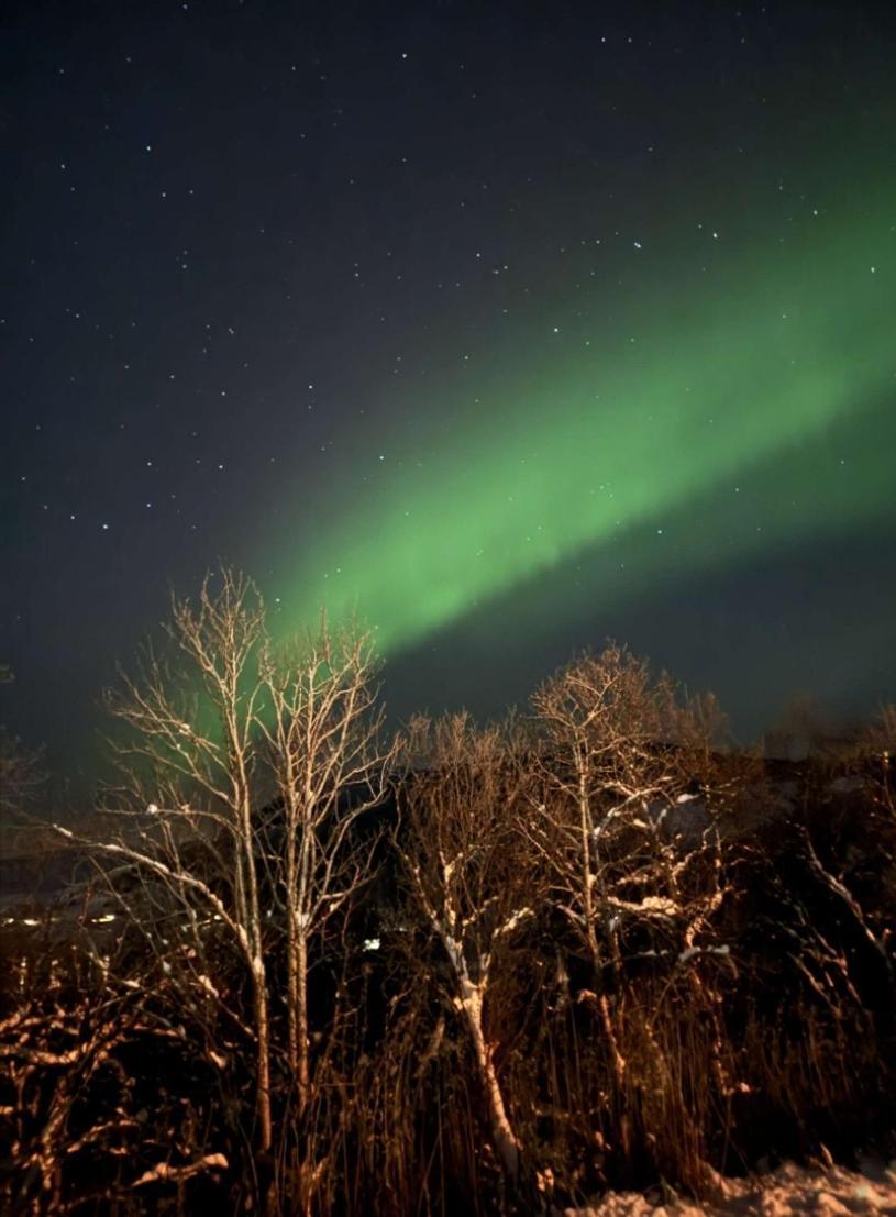 Koselig Leilighet I Narvik Sentrum 5 Soveplasser Gratis Parkering Og Gratis Internett エクステリア 写真
