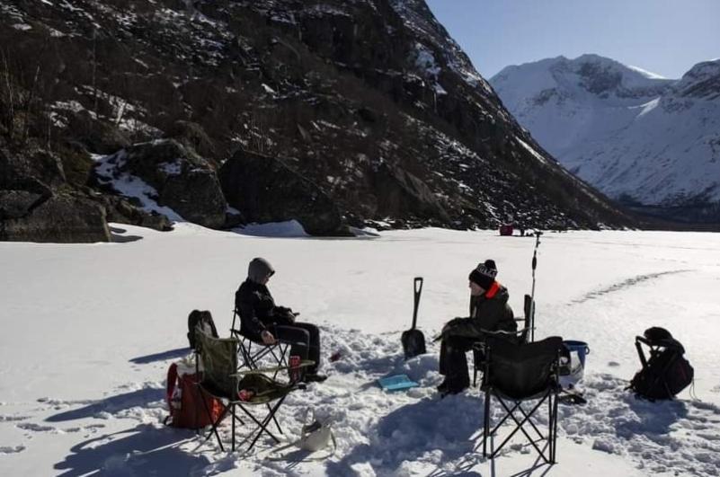 Koselig Leilighet I Narvik Sentrum 5 Soveplasser Gratis Parkering Og Gratis Internett エクステリア 写真