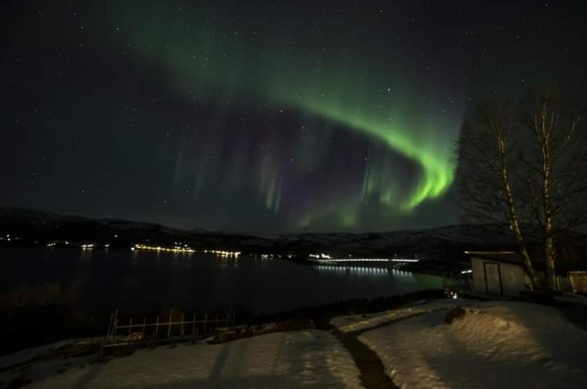 Koselig Leilighet I Narvik Sentrum 5 Soveplasser Gratis Parkering Og Gratis Internett エクステリア 写真